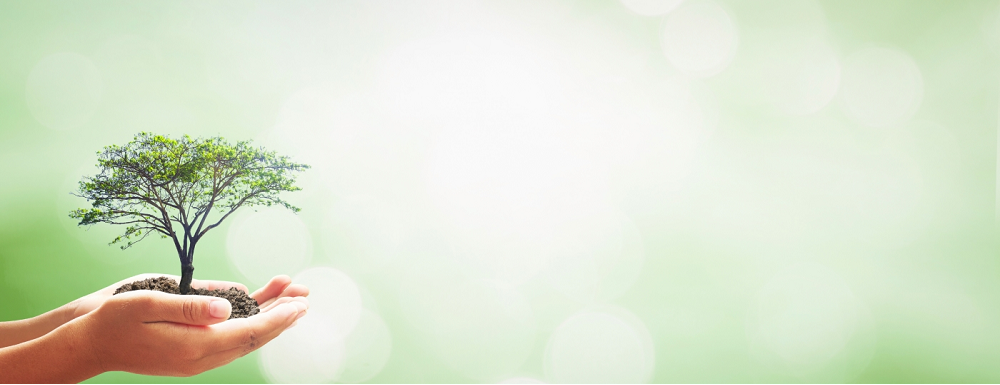 Slide background